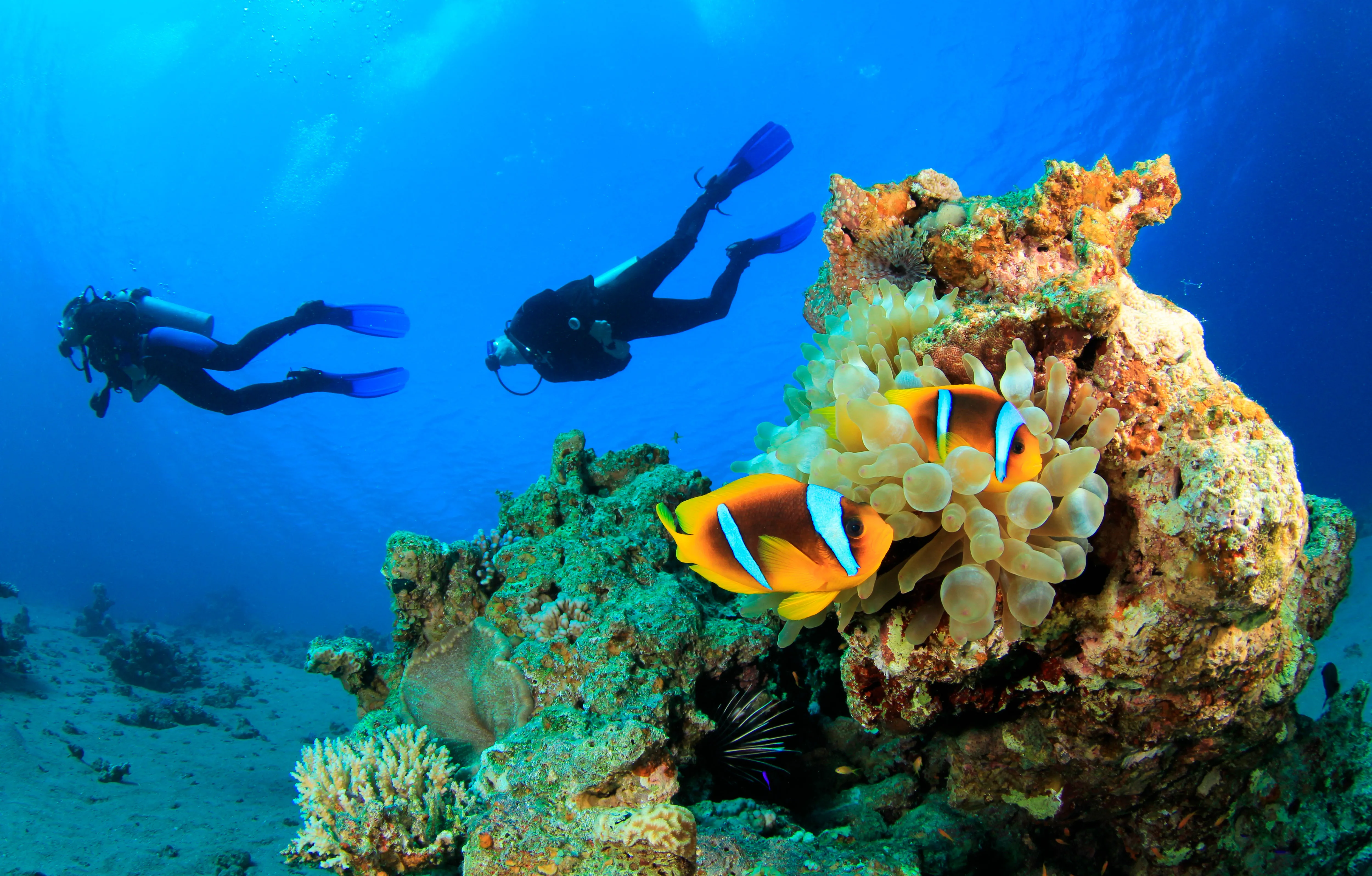 Acuba diving in one of the greatest Coral Reefs