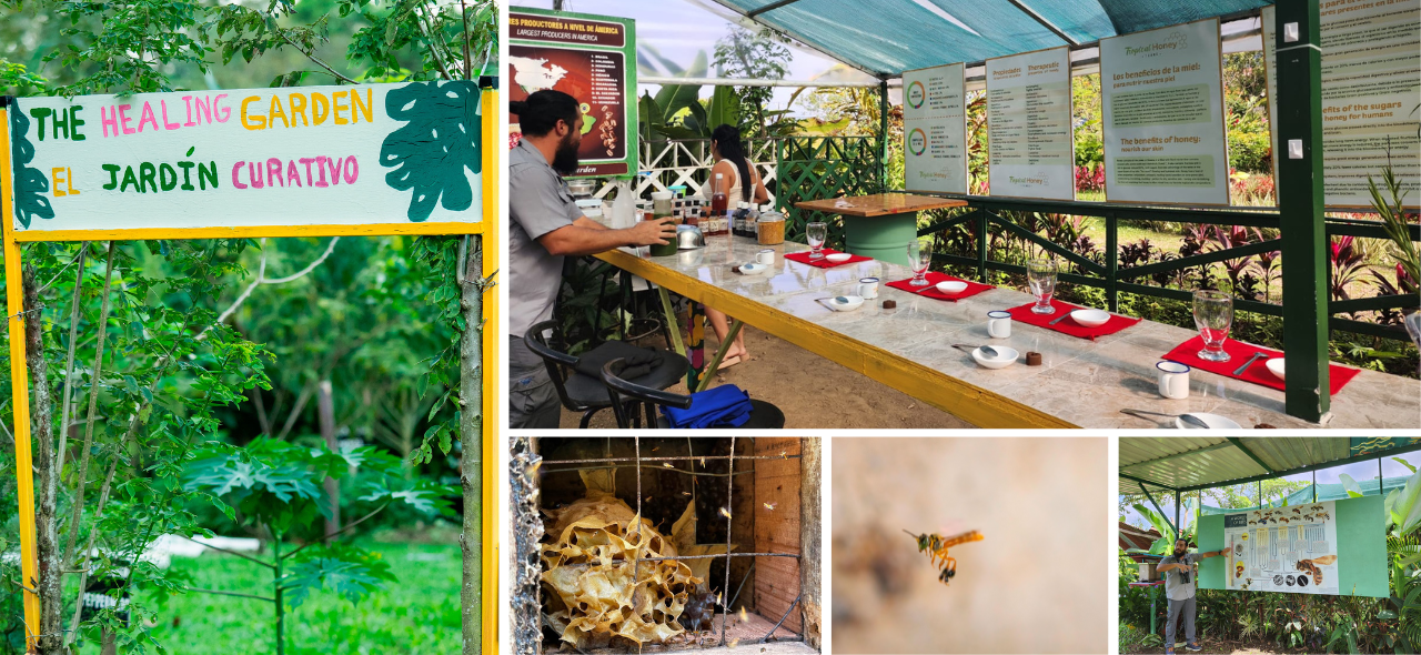 Kids Play Ground - Learning Experiences by Travel Pioneers 1