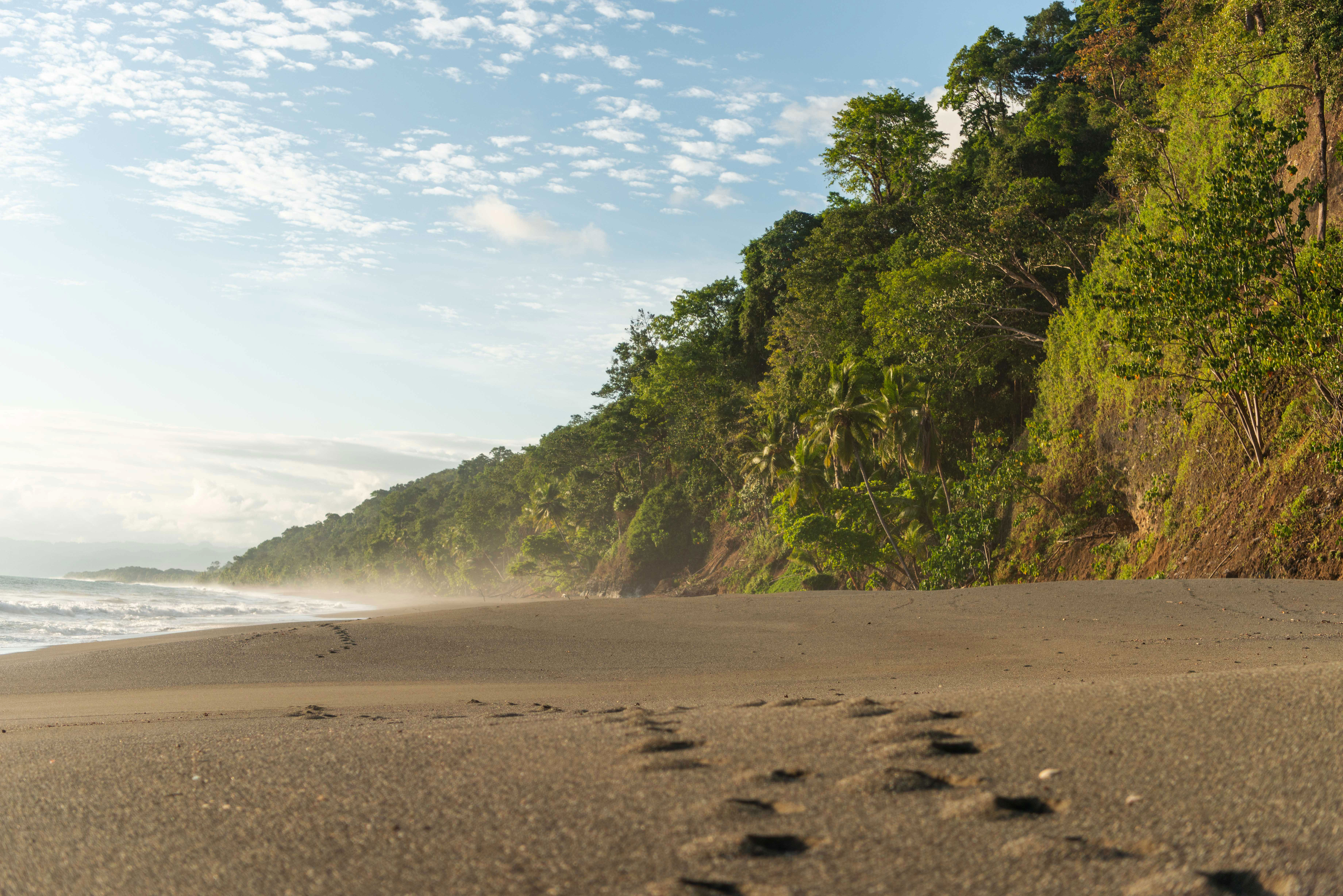 Rainforest kisses the beach, Costa Rica travel