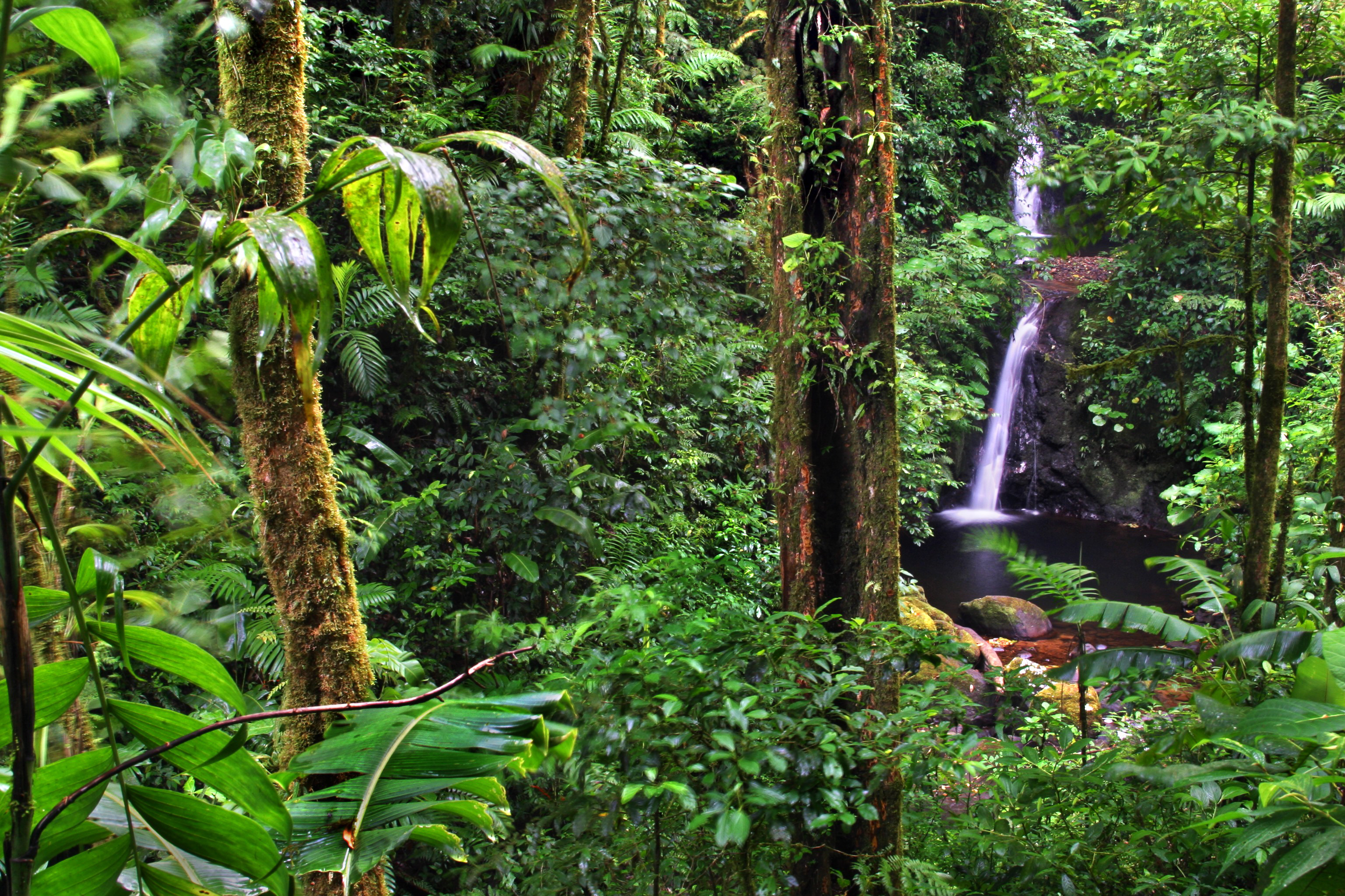 Rainforest and jungle waterfalls, Costa Rica best time to visit 