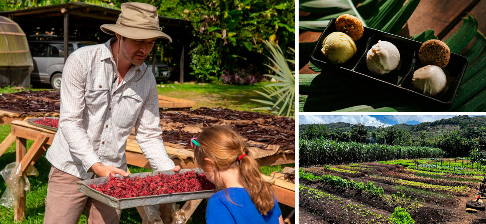 Kids Play Ground - Learning Experiences by Travel Pioneers 