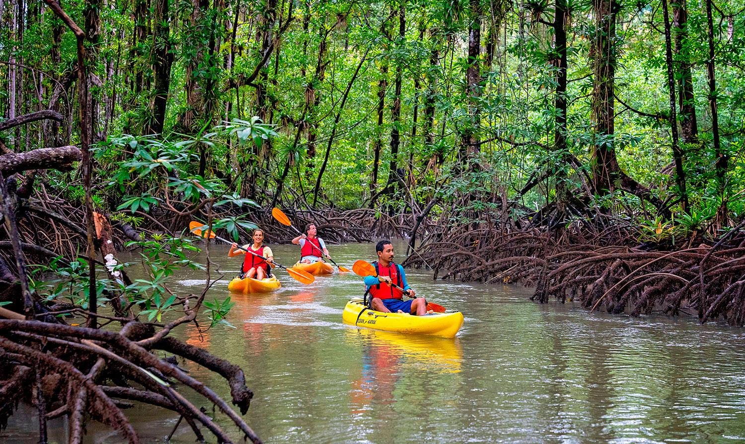 Rainforest & River Kayaking