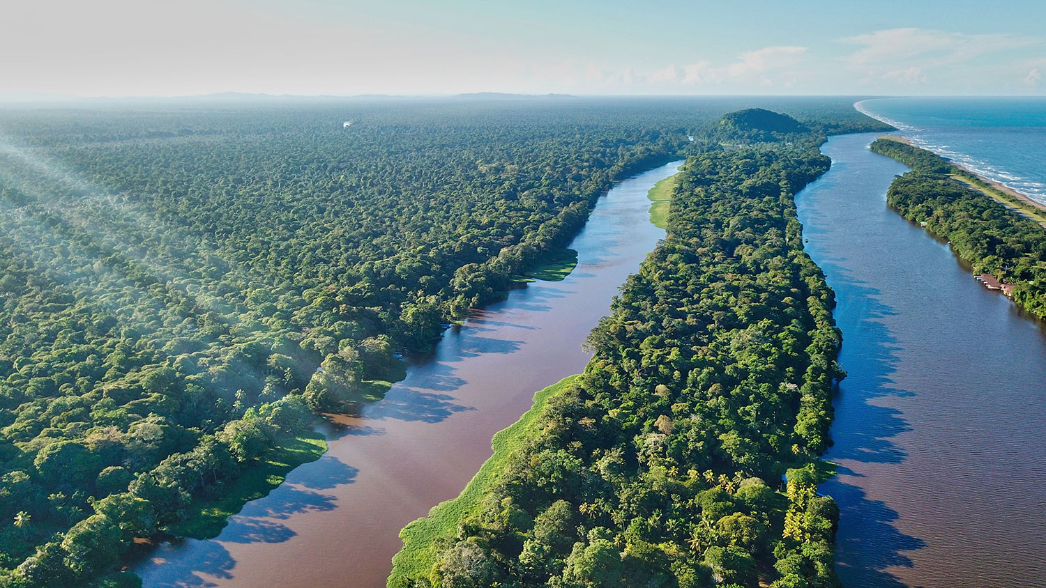 Tortuguero National Park 