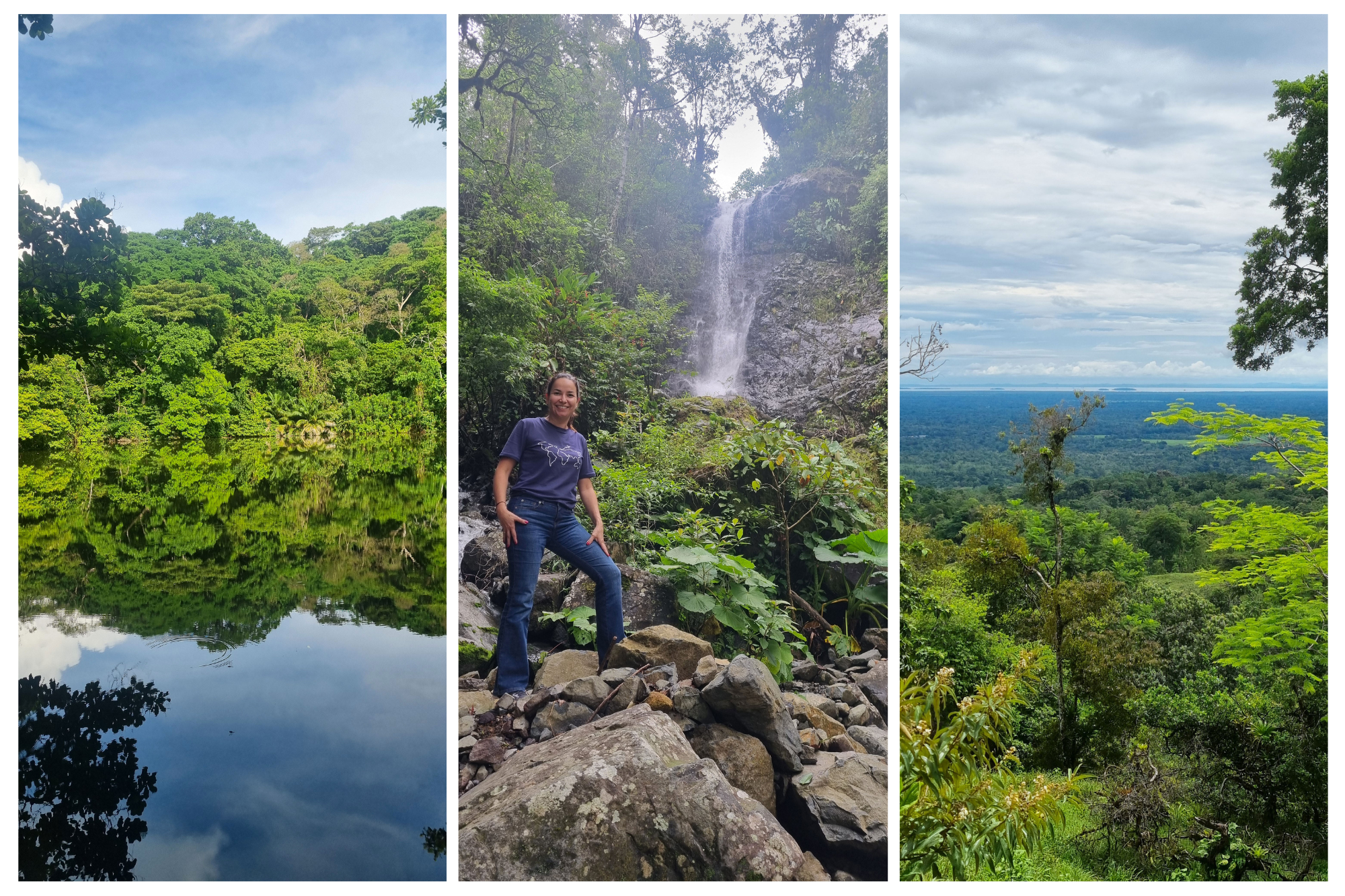 Panama cloudforest 