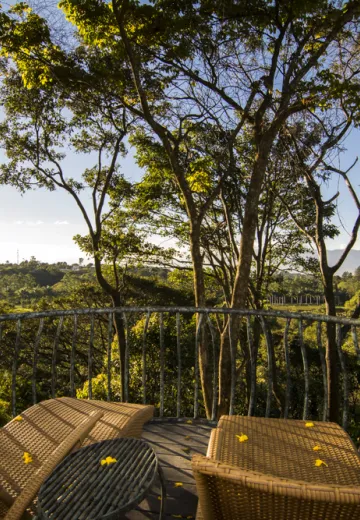 Coffee plantation views from Finca Rosa Blanca