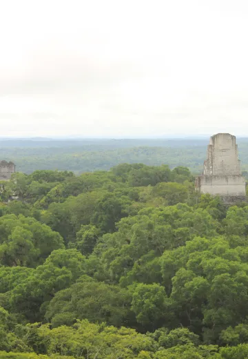Tikal ancient city and National Park