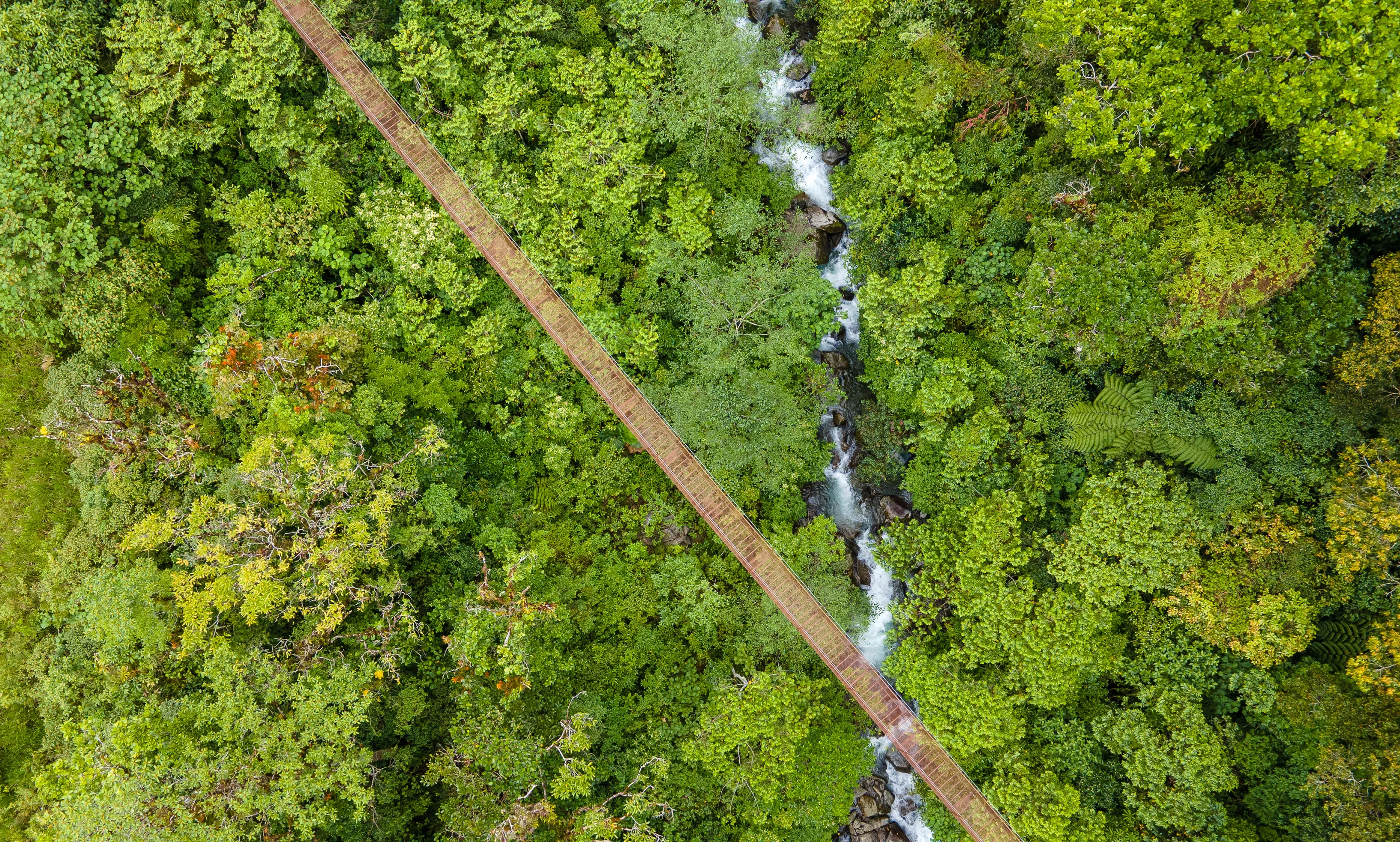 Hanging Bridges Adventure