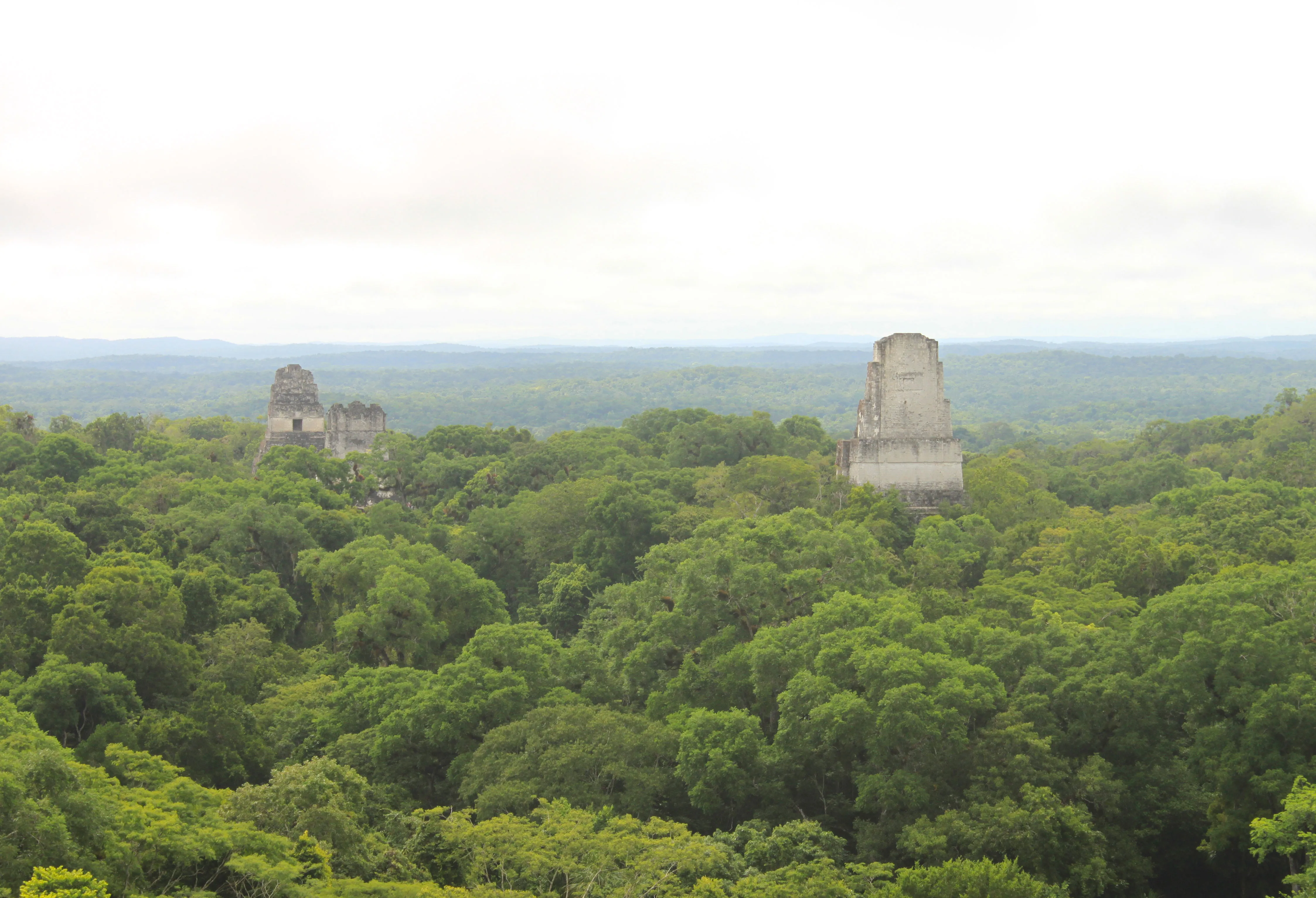 Tikal Panoramic View