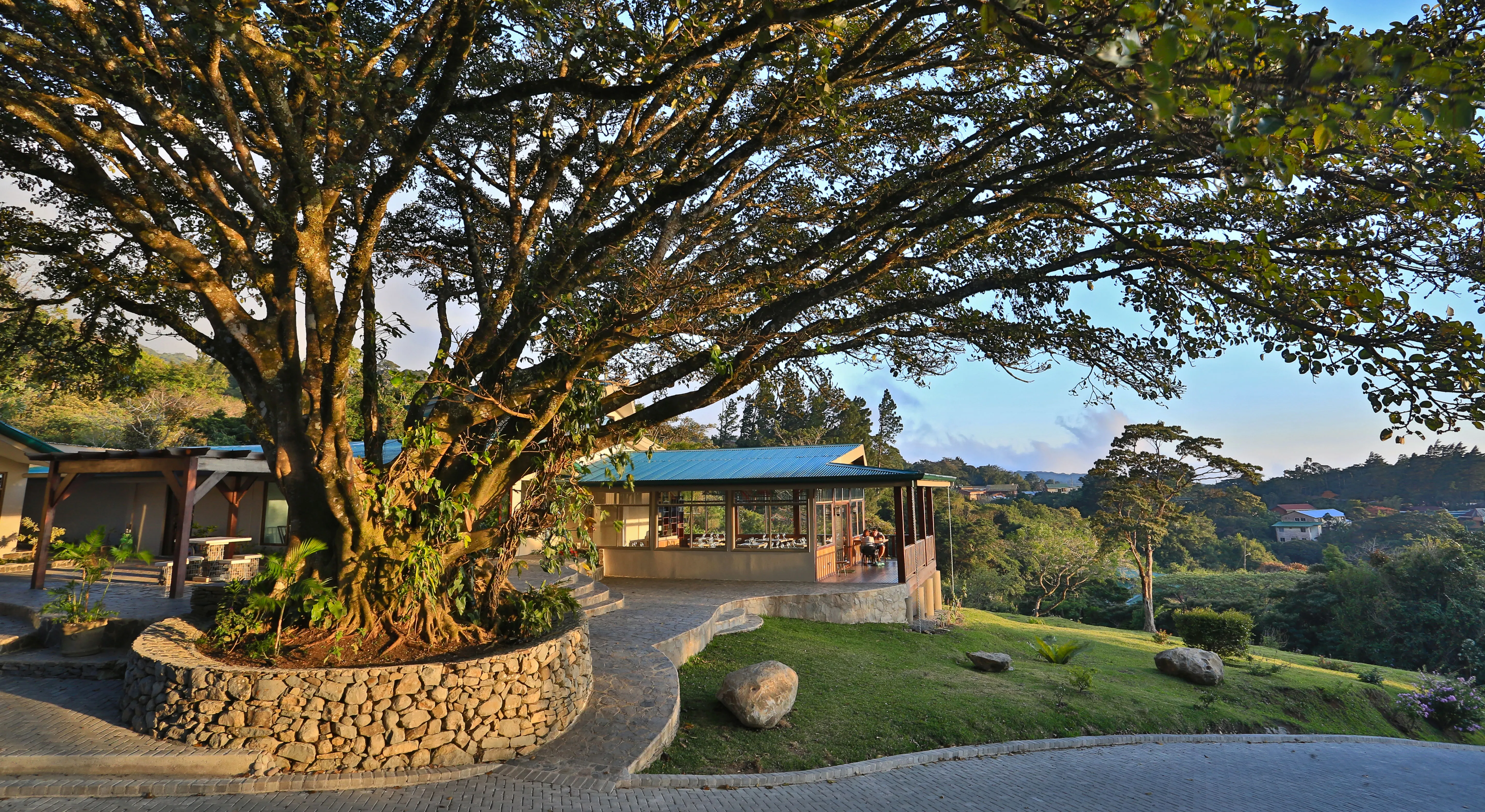 Reception area at Senda