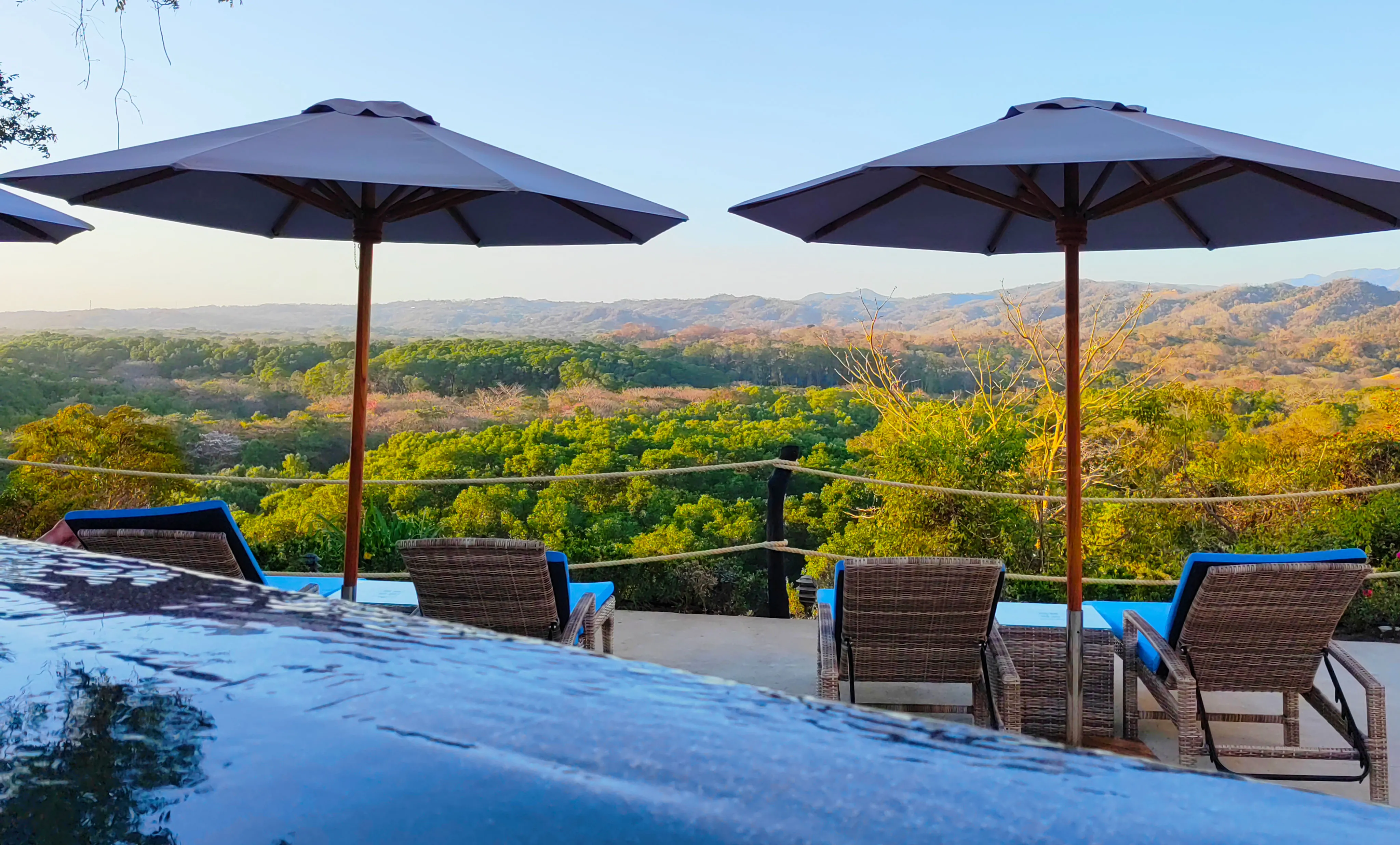 Swimming pool, forest and ocean view