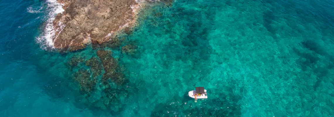 Island Snorkeling