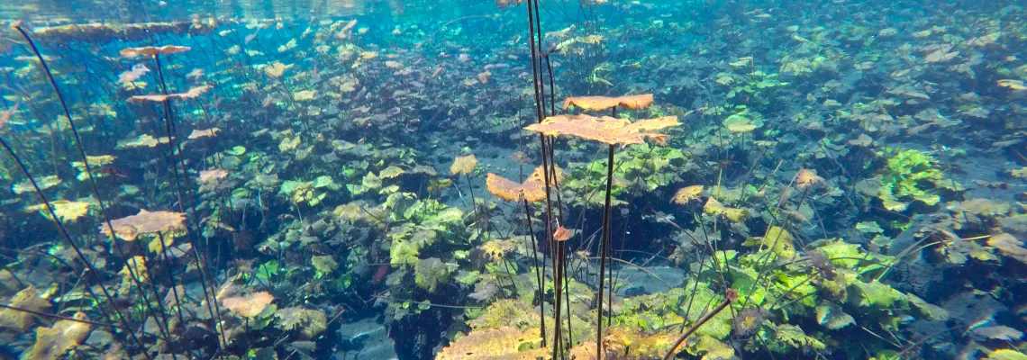 Crater Azul Guatemala, nature in the water