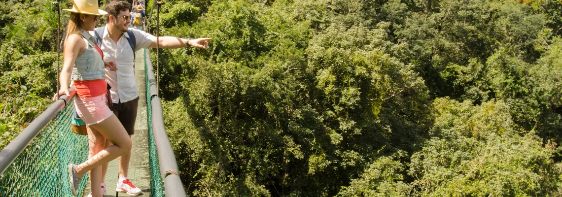 Nature hike and hanging bridges