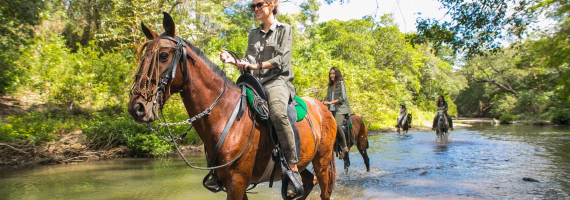 Horseback riding tours