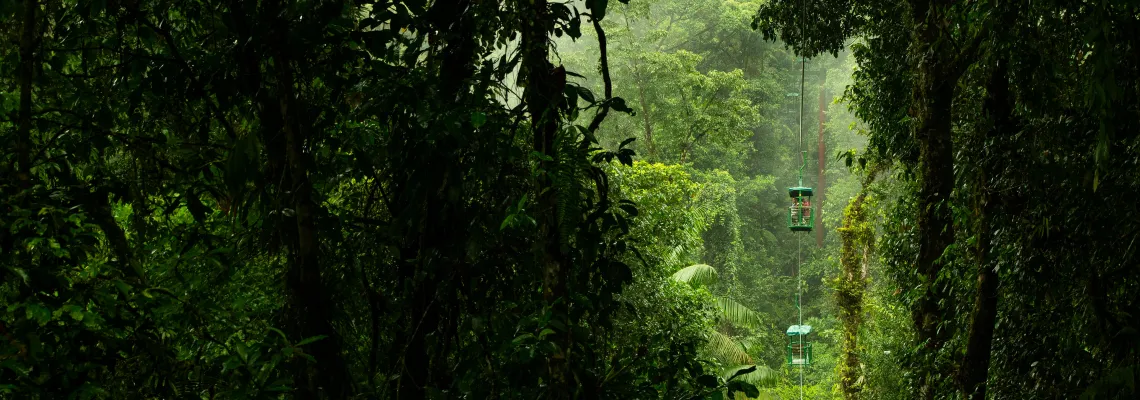 Rainforest Aerial Tram