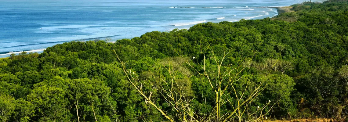 Forest-and Ocean view from Lagarta Lodge