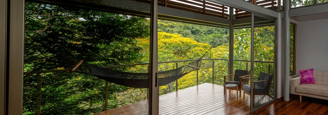 Rainforest-view-room-terrace