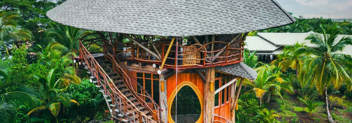 Tree-House